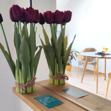 Kurzentrum, Kueche, Radfreundlich, Gemuetliches Bett Apartman Bad Schmiedeberg