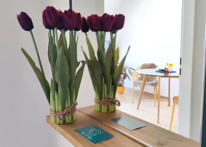 Kurzentrum, Küche, Radfreundlich, Gemütliches Bett Apartamento Bad Schmiedeberg